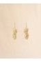  Gold Peanut Drop Earrings