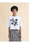  Daisy Garden Print Jersey Cotton T-shirt Lilywhite