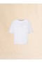  White Cotton Short-sleeve Sweatshirt With Trunkaroo Detail Lilywhite