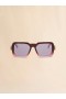  Burgundy Zamalek Sunglasses