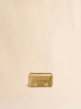  24k Gold-plated Brass Nano Trunkaroo Handbag Oro Burattato