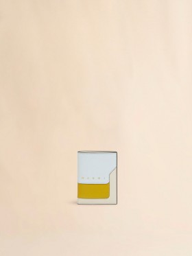  Light Green, Cream And Yellow Saffiano Leather Bi-fold Wallet Waterfall/shell/light Topaz