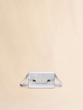  Silver Leather Trunkaroo Clutch